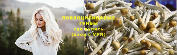 МДПВ Горно-Алтайск