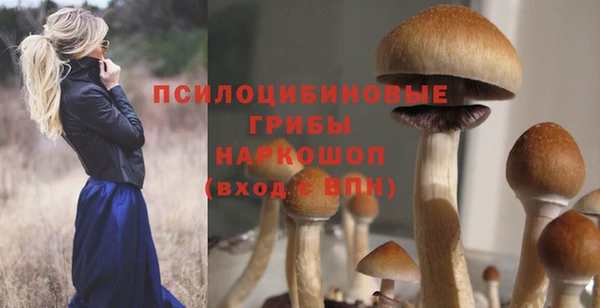 МДПВ Горно-Алтайск