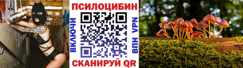 Галлюциногенные грибы Magic Shrooms  Купить закладки  Сальск 